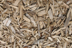 biomass boilers Kilbowie